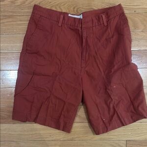 Brown Flat Front Shorts with Classic Cut